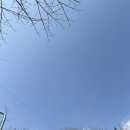 오기뷰티