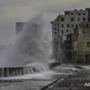 이언농장 이미지