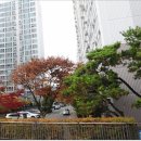 빌라분양OK공인중개사사무소 이미지