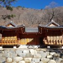 국립삼봉자연휴양림 야영장 티스토리
