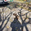 독골닭집 이미지