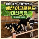 초원어린이집 | 초등학생과 가볼 만한 곳 - 충남 예산 아그로랜드 태신목장 (승마체험 후기)