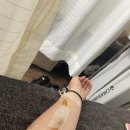 墜落する夏