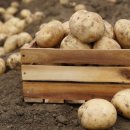 광활농협 이미지