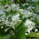 금당면-2 이미지