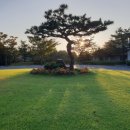 승주태양광 이미지