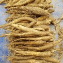 더덕이네 이미지