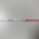 동아내과의원 | 서울역차병원 40대시험관 동결이식 1차피검후기