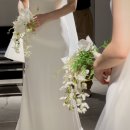 거 간만에 길고 긴 일상 보고입니다