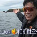 안경도시 이미지