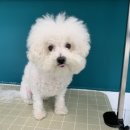 킨더그루밍 이미지