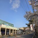 용마치킨 | 한국의 시부야 스카이? 용마 스카이워크 방문 후기 & 주차 꿀팁