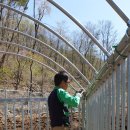 금당농장 이미지