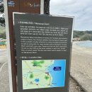 뷰가 예술이었던 여수 대형 카페 모이핀 스카이점 후기 (feat. 만성리 검은모래해변)