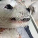 정훈동물병원 이미지