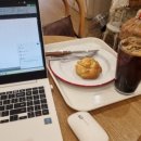 보성카정비 이미지