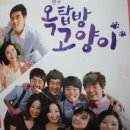 옥탑방 고양이 이미지