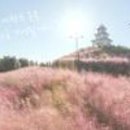 (주)허브동산