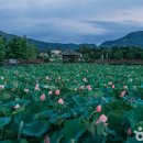 향수목장1 이미지