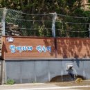 밤머리재약수터 이미지