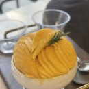 [양재 카페] 찐 망고 빙수 맛집 발견! 엘빙할루카 솔직 후기