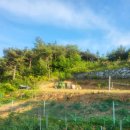 잉꼬닭집 이미지