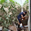 장산리경로당 이미지