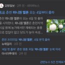 춘천원예농업협동조합 하나로마트 이미지