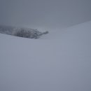 참사랑목장 이미지