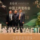 글로벌메디텍 이미지