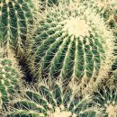 경기도 양평군 양평유치원 이미지