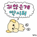 한일플러스