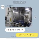 솔펫 동물병원 | 대전동물병원/다정한동물병원/대전동물병원추천/대전강아지중성화추천