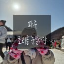 파주 초리골 눈썰매장 후기 아이랑 가기 좋은 눈썰매장