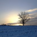 서일 농장 이미지