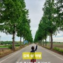 김제 '쉼' 여행! 김제 죽산마을 둘러보기 구 일본인 하시모토 농장사무소, 죽산모락, 메타쉐콰이어길 등
