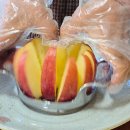 도일농장 이미지