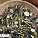 이정호농장 이미지