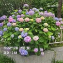 CU 대치한국점 | 6월 1주 차 주간 일기(6.1~6.7)