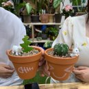 반려식물 다육토분 이미지