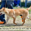 성웅 이미지