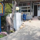 서포밥상 이미지