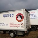 복실이농산