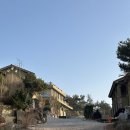 쥬라기별빛쉼터 이미지