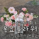 길음역 삼부아파트 앞 | 성북구 돈암동 길음역 꽃집 저렴한데 고급스럽고 풍성한 목요플라워 어버이날 꽃바구니 후기 feat...