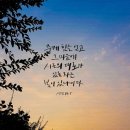 시온의 대로 이미지