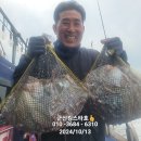 스타13 이미지