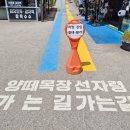 다정목장 | 평창 대관령양떼목장 주차 카페 인형 여름 방문 후기