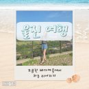 SBS펜션 | 내돈내산 울진여행 1편- 조용한 감성펜션과 울진 후포리의 따뜻한 하루