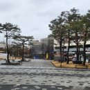 인사혁신처 버스정류장 이미지